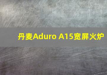 丹麦Aduro A15宽屏火炉